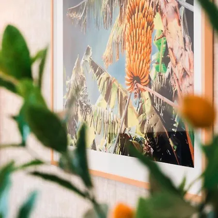 아파트 Banana By Atlantic *