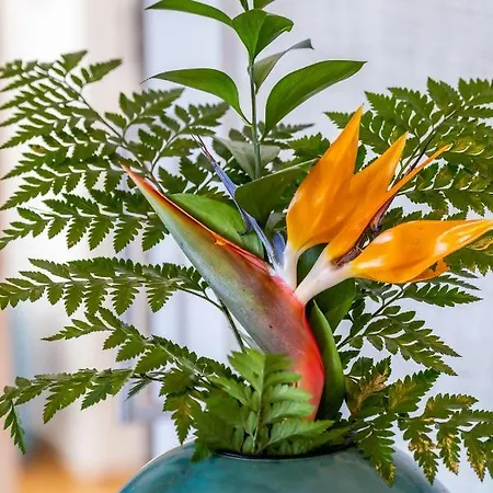 Banana By Atlantic * Funchal (Madeira)